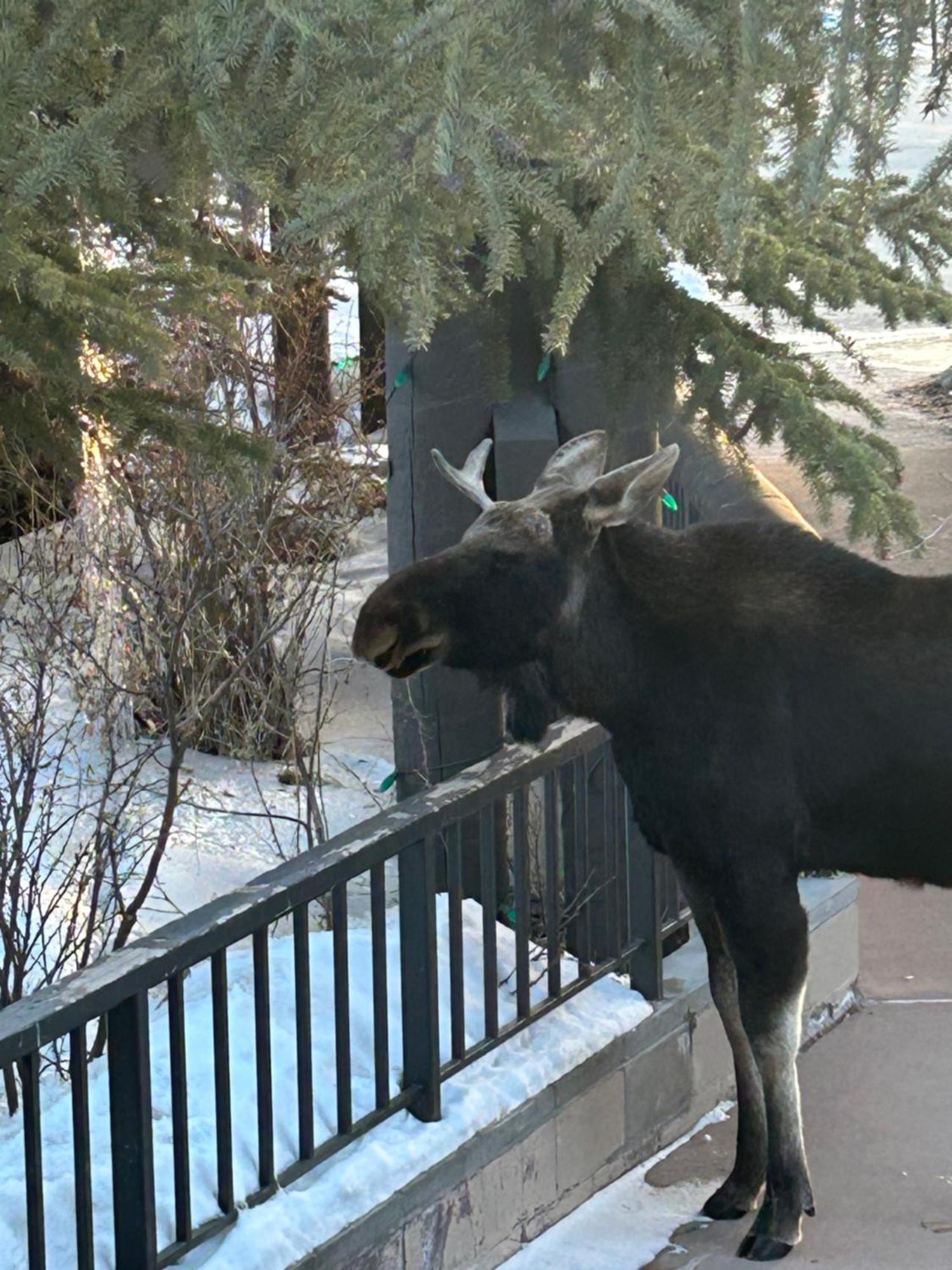 Trappers Crossing 8753 By Summitcove Lodging Keystone Bagian luar foto